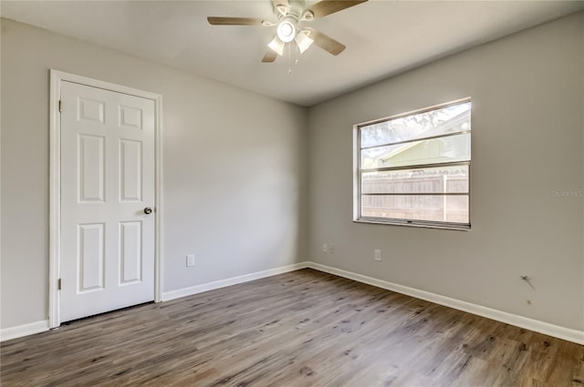 14701 Cactus Wren Pl, Tampa, FL 33625 - photo 25