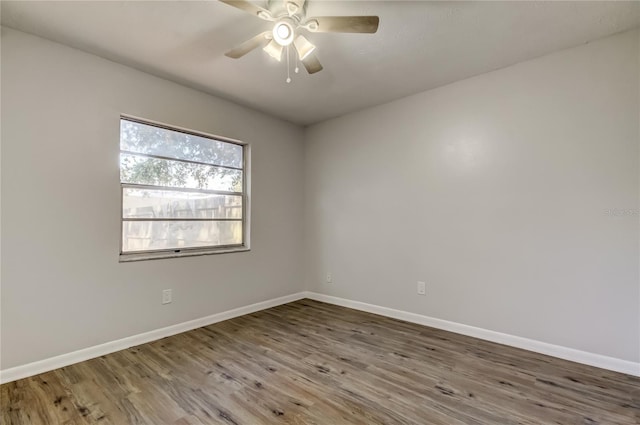 14701 Cactus Wren Pl, Tampa, FL 33625 - photo 37