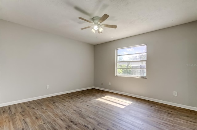 14701 Cactus Wren Pl, Tampa, FL 33625 - photo 42