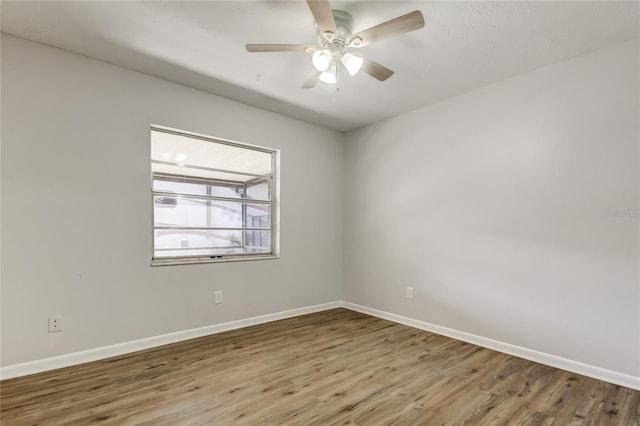 14701 Cactus Wren Pl, Tampa, FL 33625 - photo 43