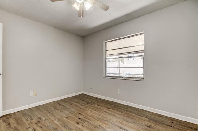 14701 Cactus Wren Pl, Tampa, FL 33625 - photo 44