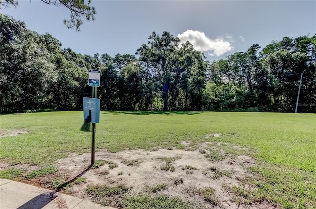 14701 Cactus Wren Pl, Tampa, FL 33625 - photo 51