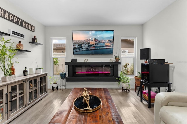 living room featuring wood finished floors and a glass covered fireplace