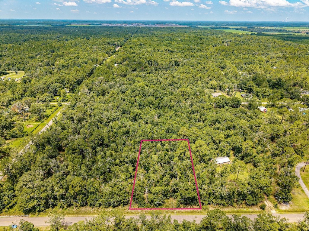 10155 Turpin Ave, Hastings, FL 32145