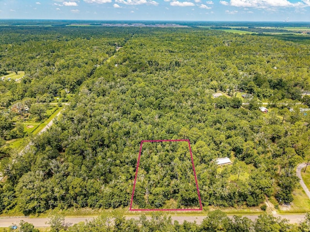 10155 Turpin Ave, Hastings, FL 32145