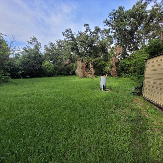 6519 Stark Rd, Seffner, FL 33584 - photo 2