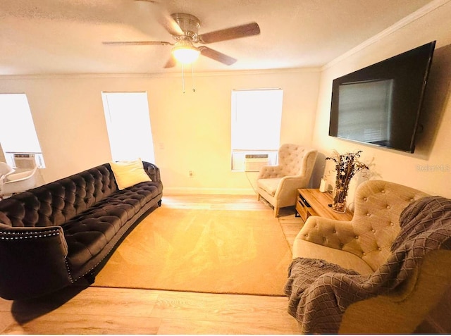 409 SW 2nd Ave, Mulberry, FL 33860 - photo 8