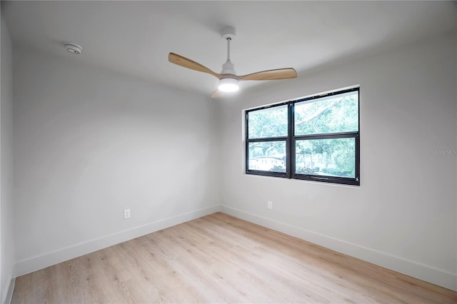 4504 W Lamb Ave, Tampa, FL 33629 - photo 50