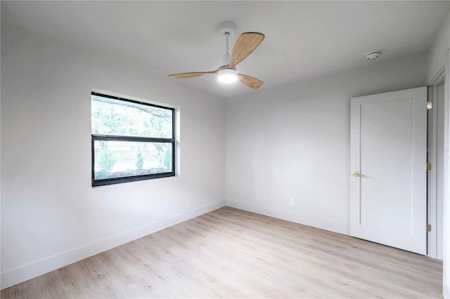 4504 W Lamb Ave, Tampa, FL 33629 - photo 55
