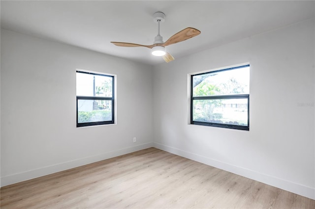 4504 W Lamb Ave, Tampa, FL 33629 - photo 57