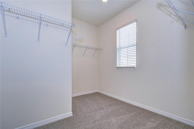 9176 Forge Breeze Loop, Wesley Chapel, FL 33545 - photo 12