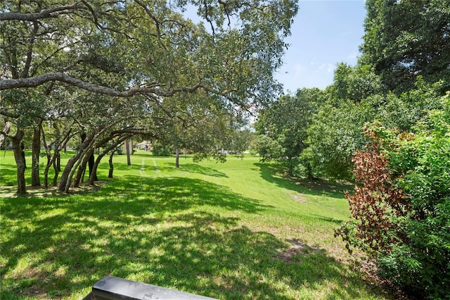11378 Deercroft Ct, Spring Hill, FL 34609 - photo 44