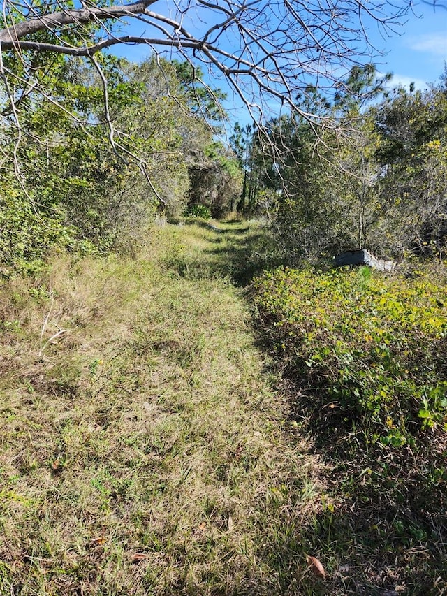 161 Lynch Ln, Frostproof, FL 33843 - photo 3