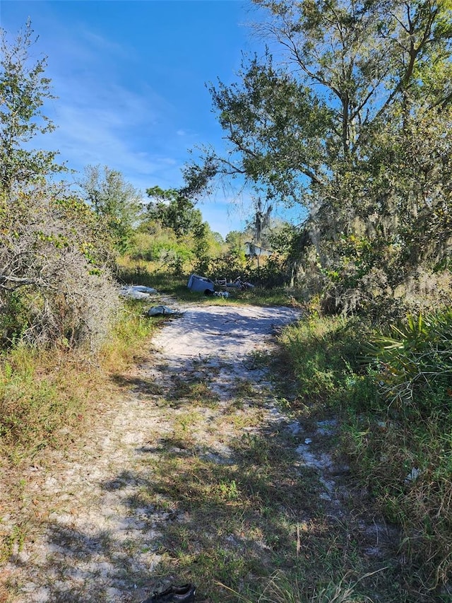 161 Lynch Ln, Frostproof, FL 33843 - photo 6