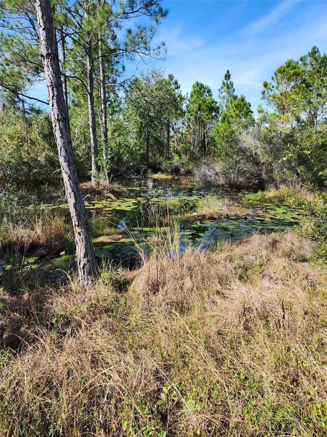 161 Lynch Ln, Frostproof, FL 33843 - photo 9