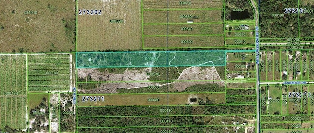 161 Lynch Ln, Frostproof, FL 33843 - photo 10