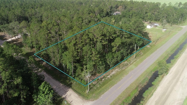 5505 Melanie St, Hastings, FL 32145