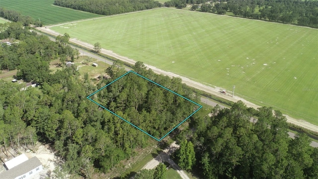 5505 Melanie St, Hastings, FL 32145