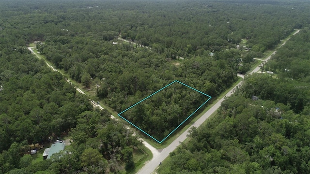 4775 Naomi St, Hastings, FL 32145