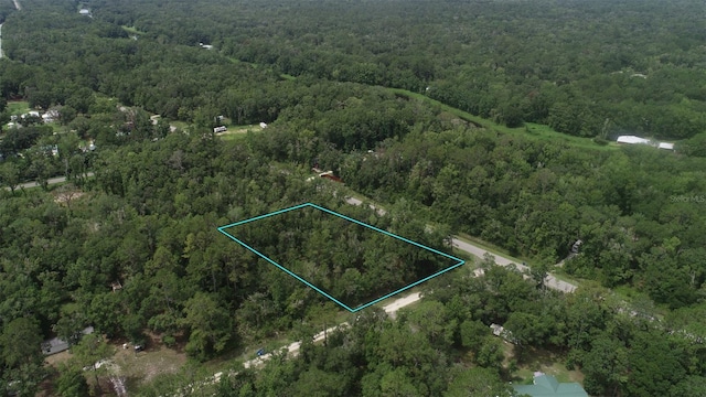 4775 Naomi St, Hastings, FL 32145