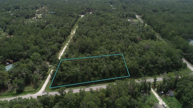 4775 Naomi St, Hastings, FL 32145