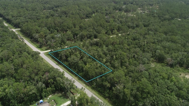 4775 Naomi St, Hastings, FL 32145