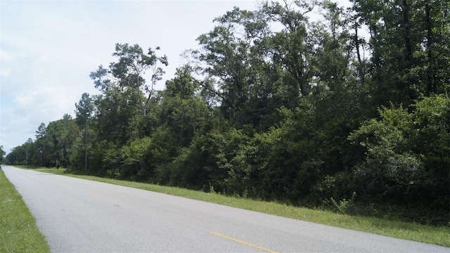 4775 Naomi St, Hastings, FL 32145