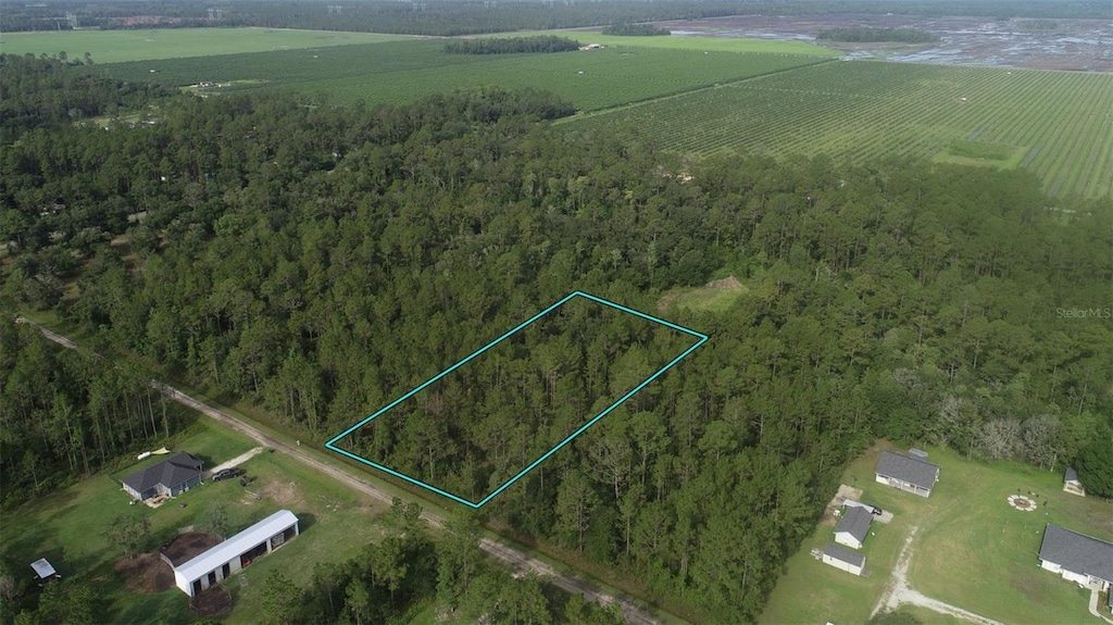10325 Gregory Ave, Hastings, FL 32145 - photo 1