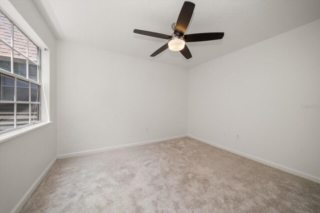 2500 Winding Creek Blvd Unit G303, Clearwater, FL 33761 - photo 21
