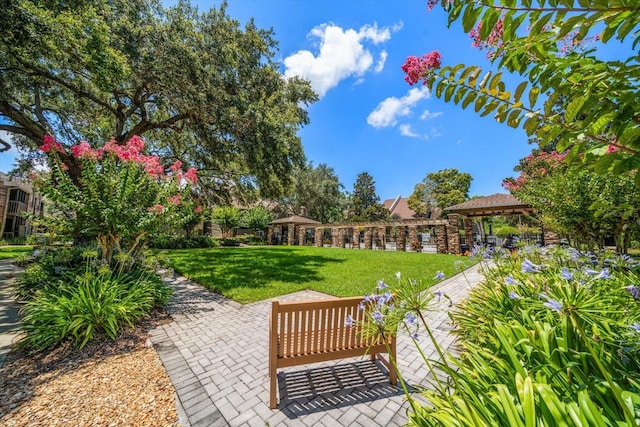 2500 Winding Creek Blvd Unit G303, Clearwater, FL 33761 - photo 33
