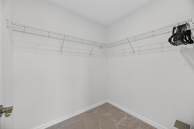 10831 Sundrift Dr, Tampa, FL 33647 - photo 76