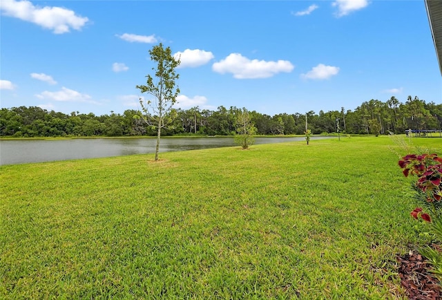 10831 Sundrift Dr, Tampa, FL 33647 - photo 87