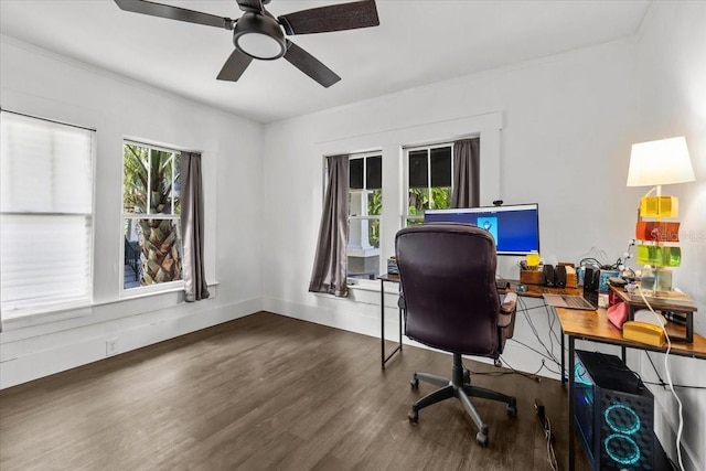 102 W N Bay St, Tampa, FL 33603 - photo 10