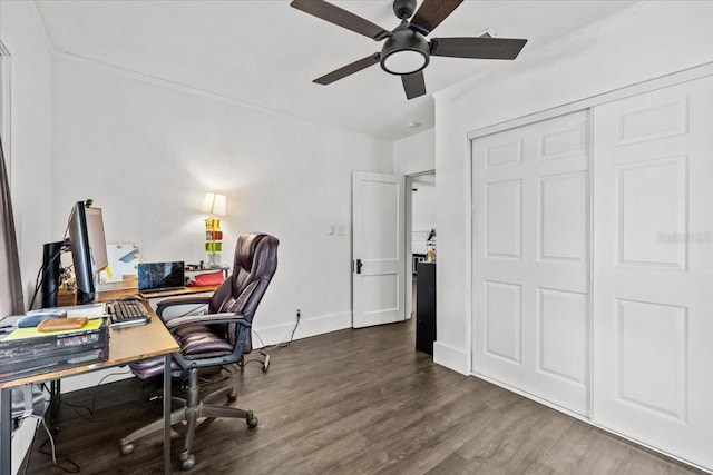 102 W N Bay St, Tampa, FL 33603 - photo 12