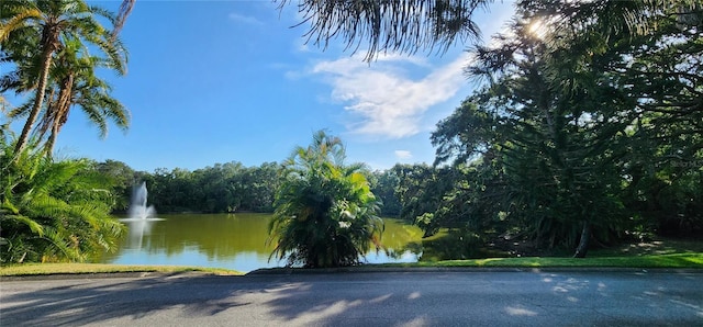 2702 5th Ct, Palm Harbor, FL 34684 - photo 19
