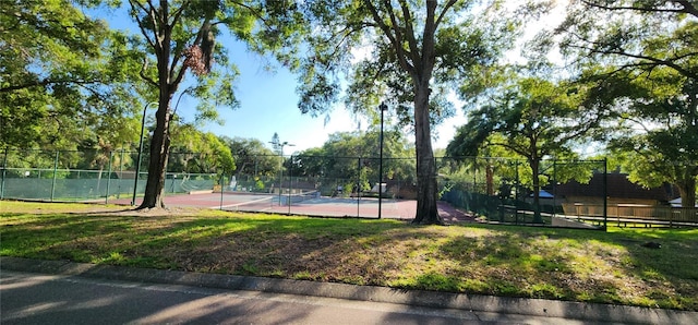 2702 5th Ct, Palm Harbor, FL 34684 - photo 20