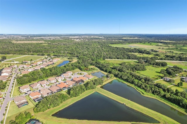 13008 Paddock Wood Pl, Riverview, FL 33579 - photo 50