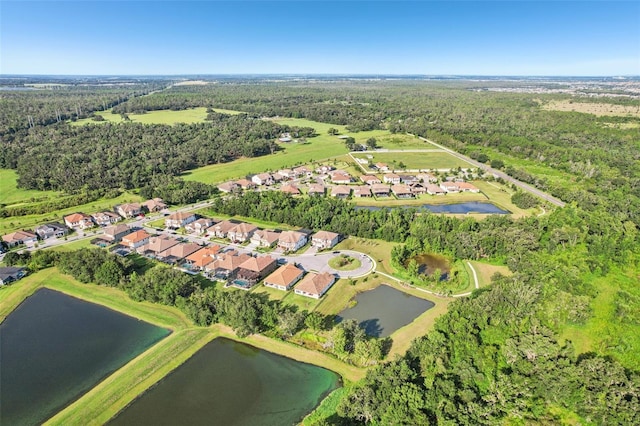 13008 Paddock Wood Pl, Riverview, FL 33579 - photo 53