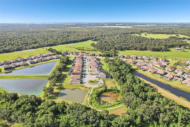13008 Paddock Wood Pl, Riverview, FL 33579 - photo 54