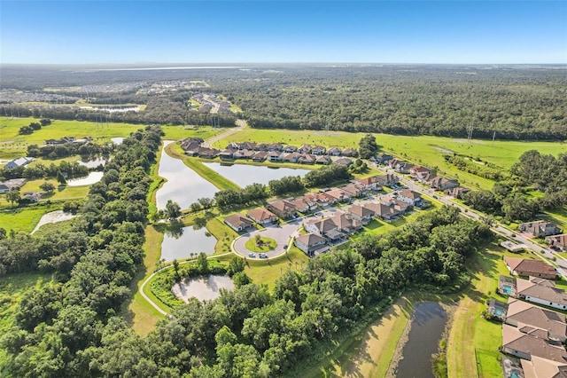 13008 Paddock Wood Pl, Riverview, FL 33579 - photo 55