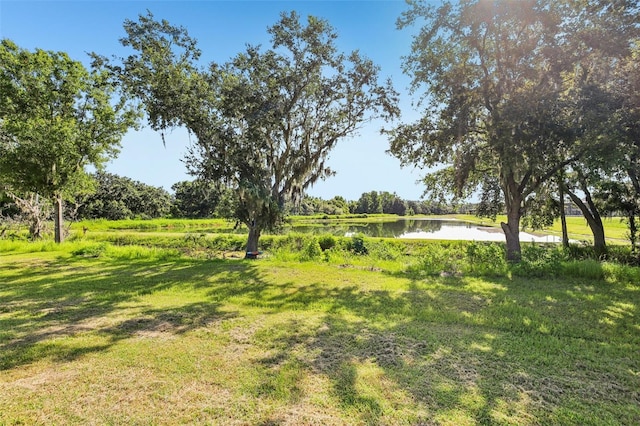 13008 Paddock Wood Pl, Riverview, FL 33579 - photo 63