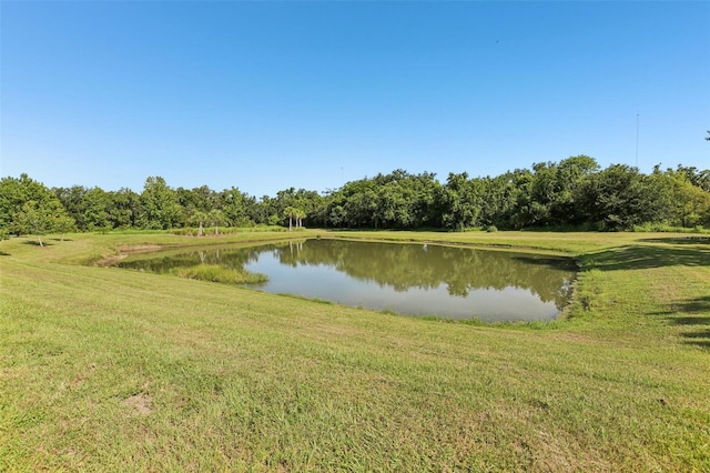 13008 Paddock Wood Pl, Riverview, FL 33579 - photo 64