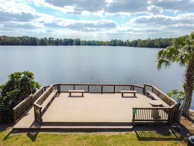 2706 S Fairway Dr, Plant City, FL 33566 - photo 51