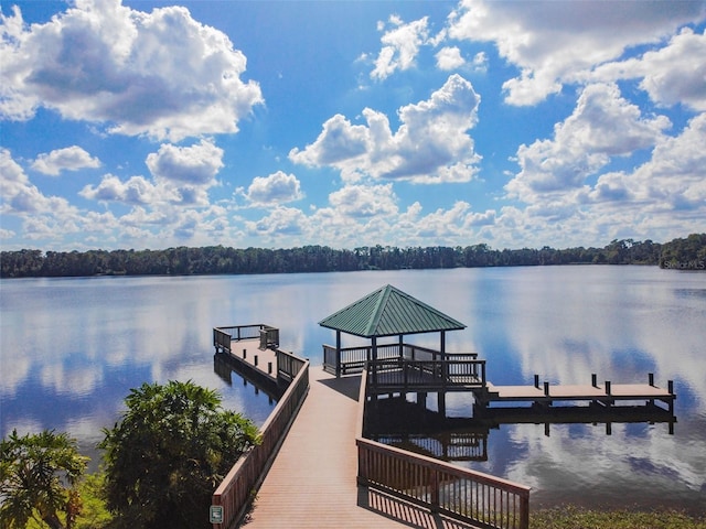 2706 S Fairway Dr, Plant City, FL 33566 - photo 52