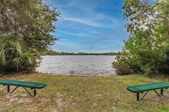 2706 S Fairway Dr, Plant City, FL 33566 - photo 54