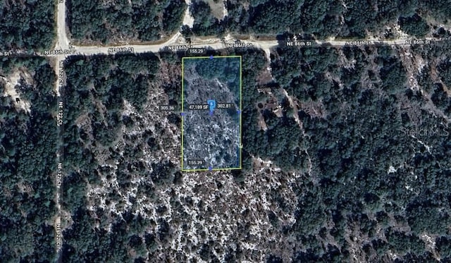 NE 86th St, Bronson, FL 32621 - photo 5