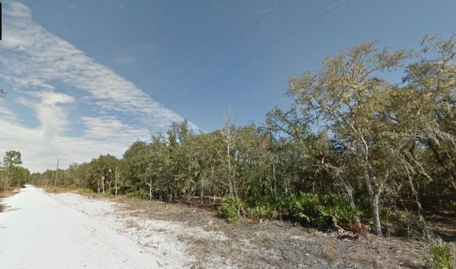 NE 86th St, Bronson, FL 32621 - photo 9