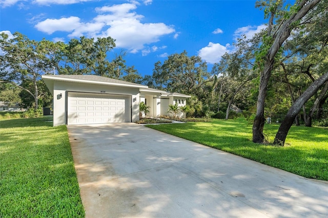 9229 Creston Ave, New Port Richey, FL 34654 - photo 3