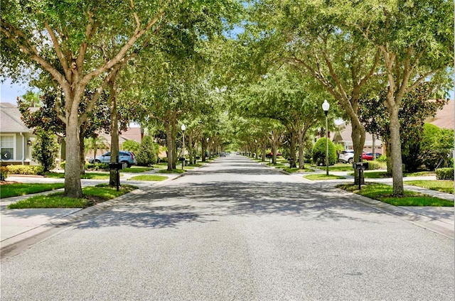 20821 Amanda Oak Ct, Land O Lakes, FL 34638 - photo 35
