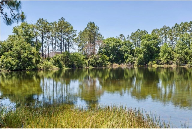 20821 Amanda Oak Ct, Land O Lakes, FL 34638 - photo 42